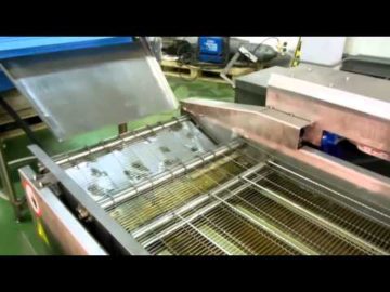 MasterFry Immersion continuous fryer