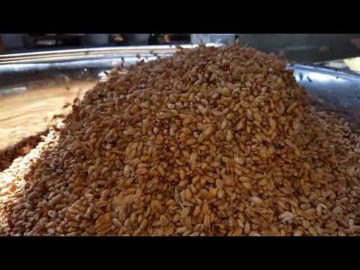 TurboGrain grain washing, hulling, and separating machine